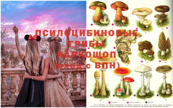 трава Наволоки