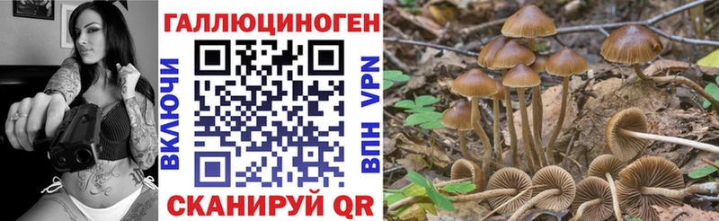 Галлюциногенные грибы ЛСД  OMG рабочий сайт  Новомичуринск 